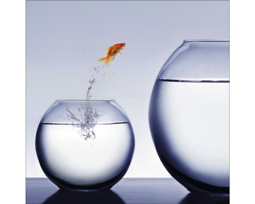 Glasbild Jumping fish GLA494 50x50 cm Produktbild 