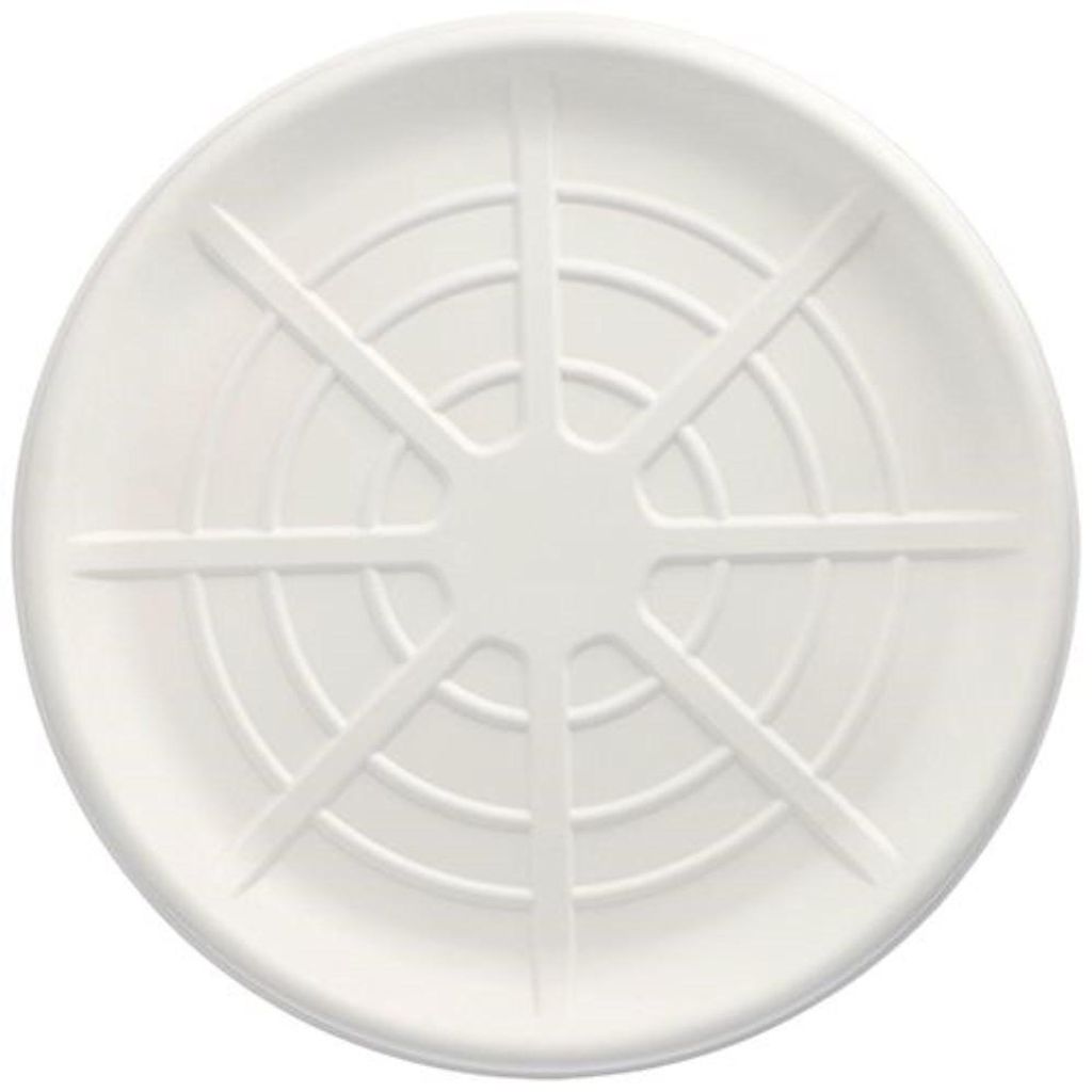 PAPSTAR Servierplatten rund Ø 47 cm, Zuckerrohr, weiß, für Meeresfrüchte | Folie (25 Stück)