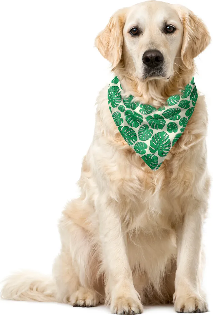 Bandana Lavabile per Cani 55x55 ABAKUHAUS Philodendron Verde