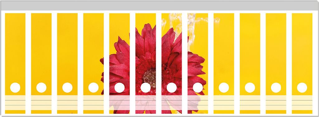 Wallario Ordnerrücken Sticker, selbstklebend für breite Ordner, 12 Stück, Motiv Rote Blüte im Blumentopf - frisch begossen