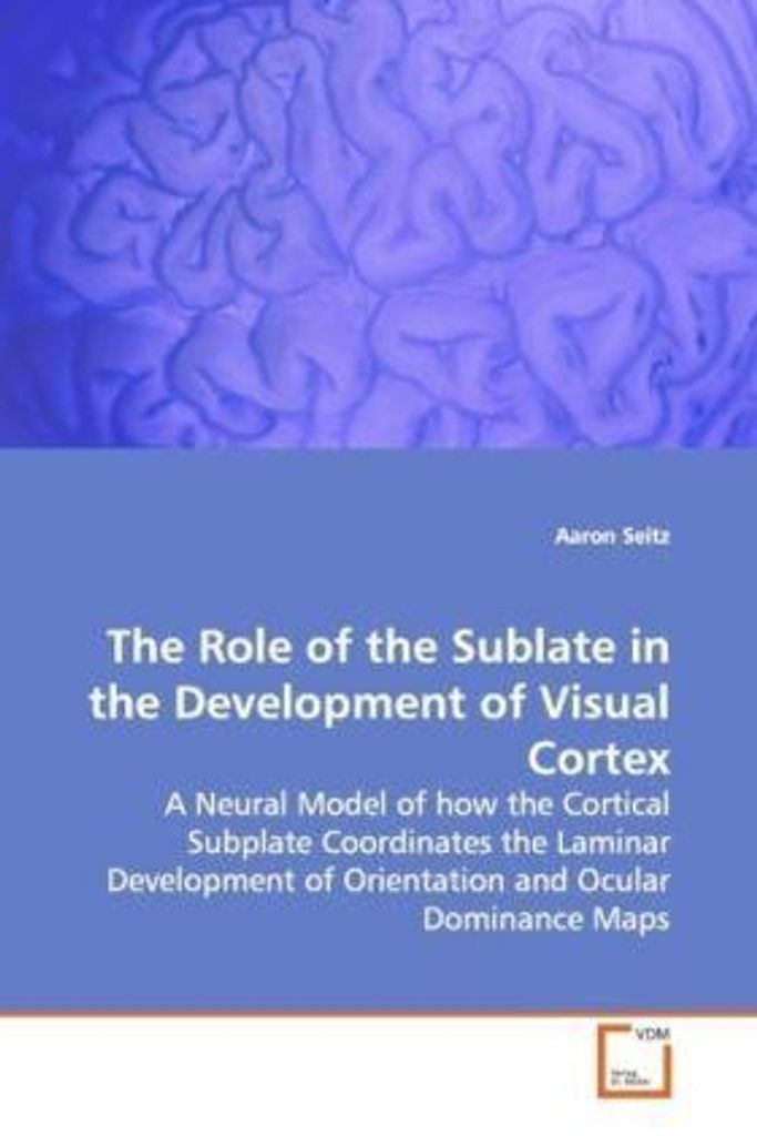 Seitz, A: The Role of the Sublate in the Development of Visu