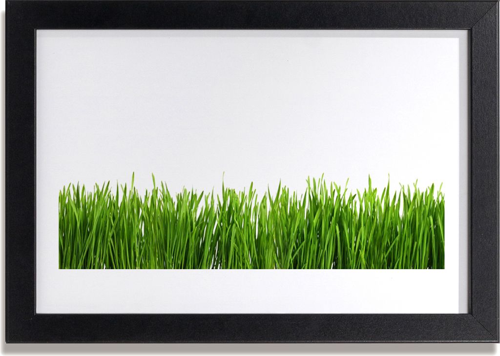 Bild 30x20 MDF-Rahmen Wandkunst Gras Natur Pflanze
