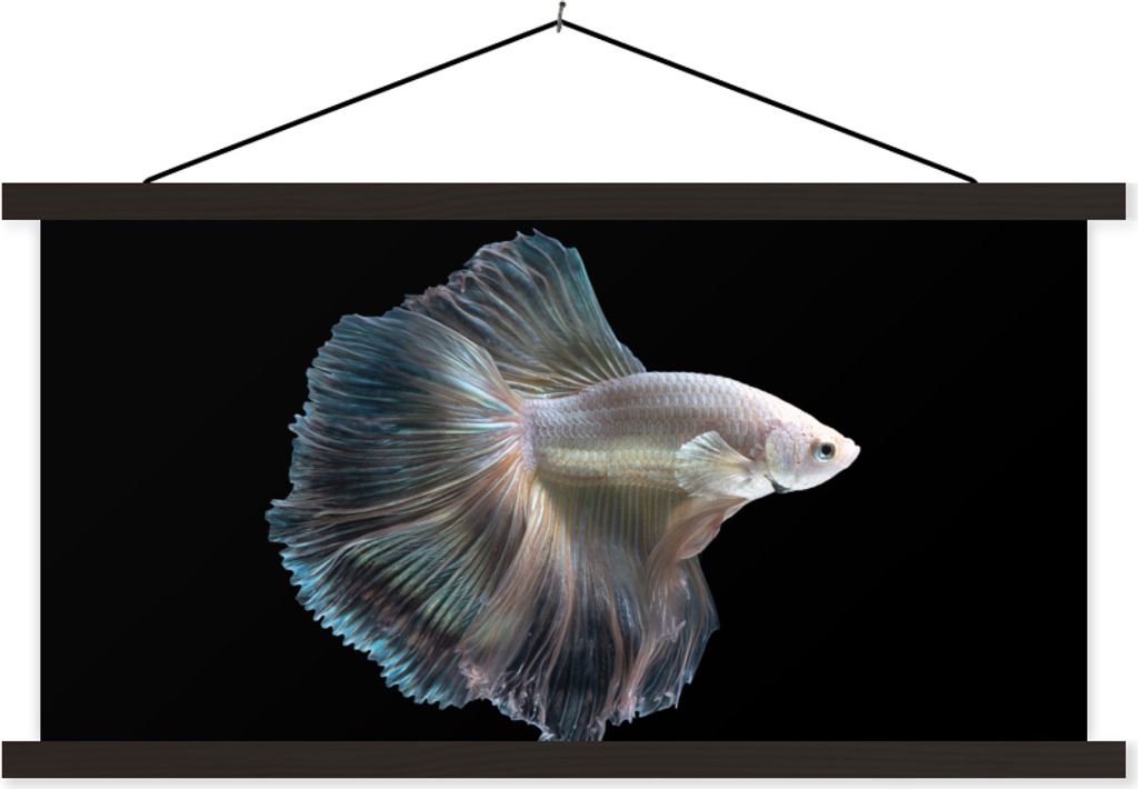 MuchoWow Textilposter Fisch - Schwanz - Weiß 90x45 cm mit schwarzem Rahmen - Klemmleisten