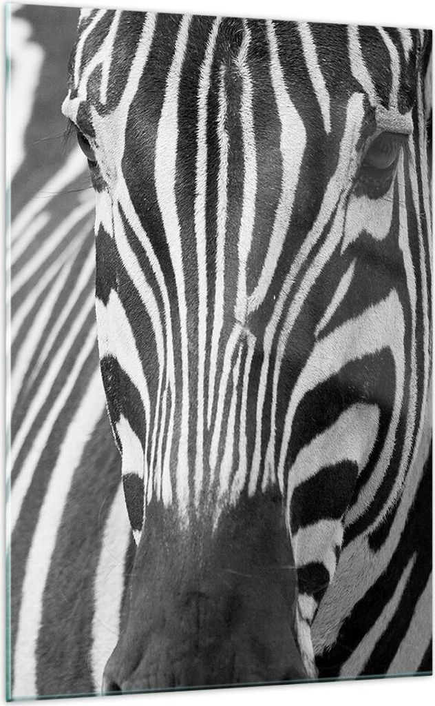 Bilder auf glas - Einteilig - Tiere Zebra gestreift - 70x100cm - Glasbilder - Wandbilder - Bilder - zum Aufhängen bereit - Wanddekoration aus Glas...