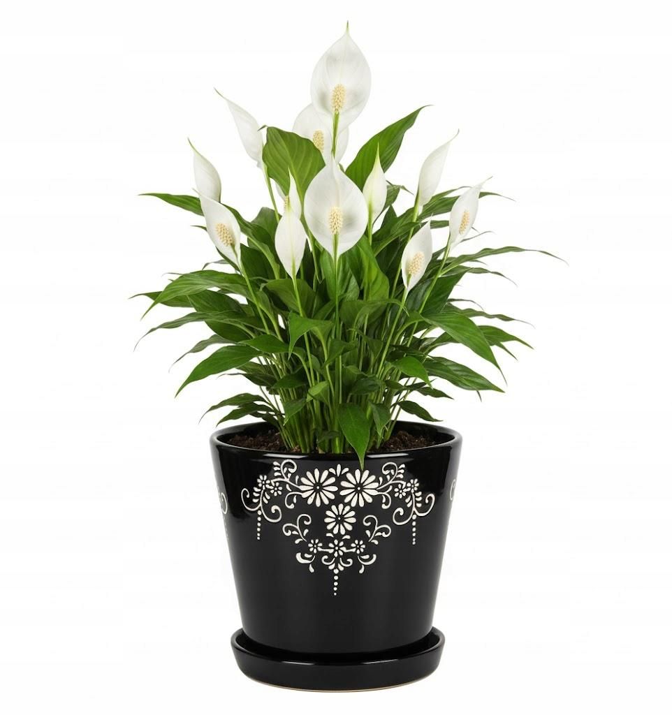 Keramik Blumentopf Schwarz mit Blumenmuster 14 cm – Handbemalter Übertopf mit Untersetzer, Dekorativer Pflanzentopf Innen Glänzend