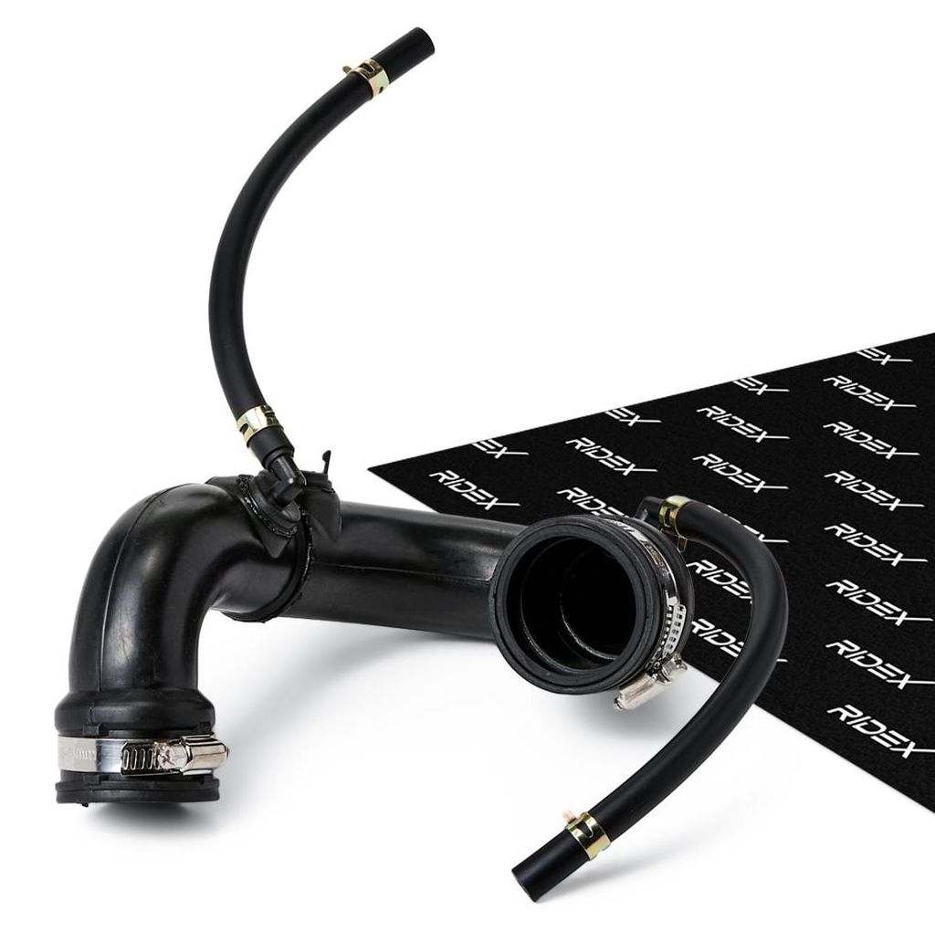 RIDEX 3314C0113 Turbo Ladeluftschlauch für RENAULT Clio III Schrägheck (BR0/1, CR0/1) CLIO II (BB0/1/2, CB0/1/2) KANGOO (KC0/1) MODUS / GRAND MODUS