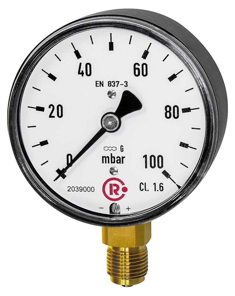 Riegler Kapselfedermanometer, G 1/4 radial unten, 0 - 250 mbar, Ø 63, Art.Nr. 5816-R
