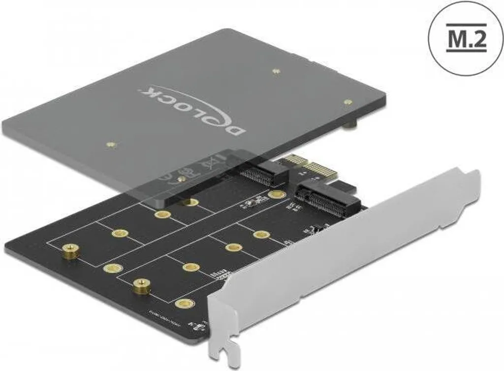 Delock Carte PCI Express x1 vers 2 x M.2 Key B interne adaptateur SSD