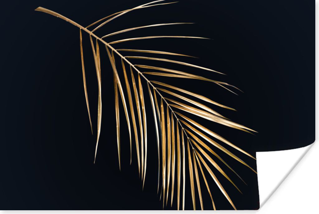 MuchoWow Poster Pflanzen - Gold - Schwarz - Blätter - Luxus 30x20 cm
