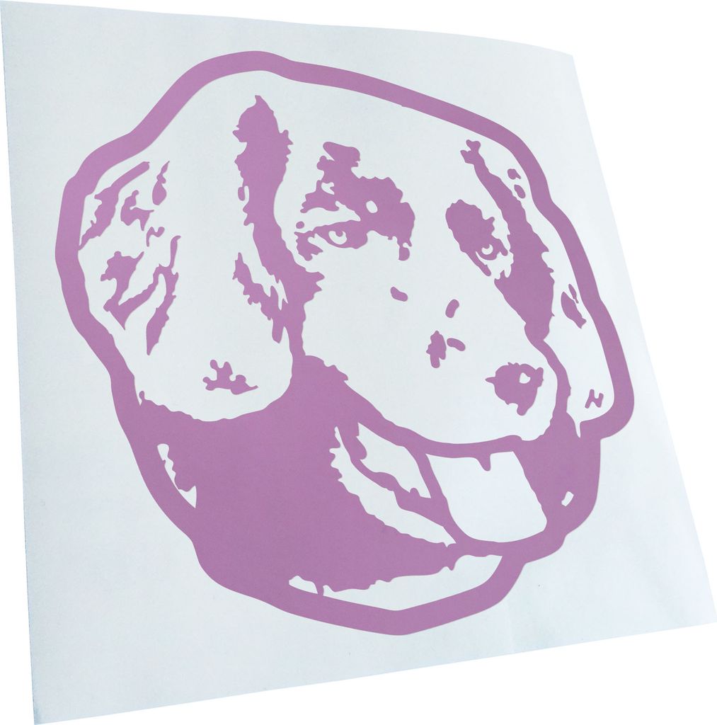 Kiwistar - Autoaufkleber - stabyhoun Hund - Flieder - 60x60cm - Aufkleber für Auto, Laptop, Fahrrad, LKW, Motorrad mehrfarbig JDM Decal Racing