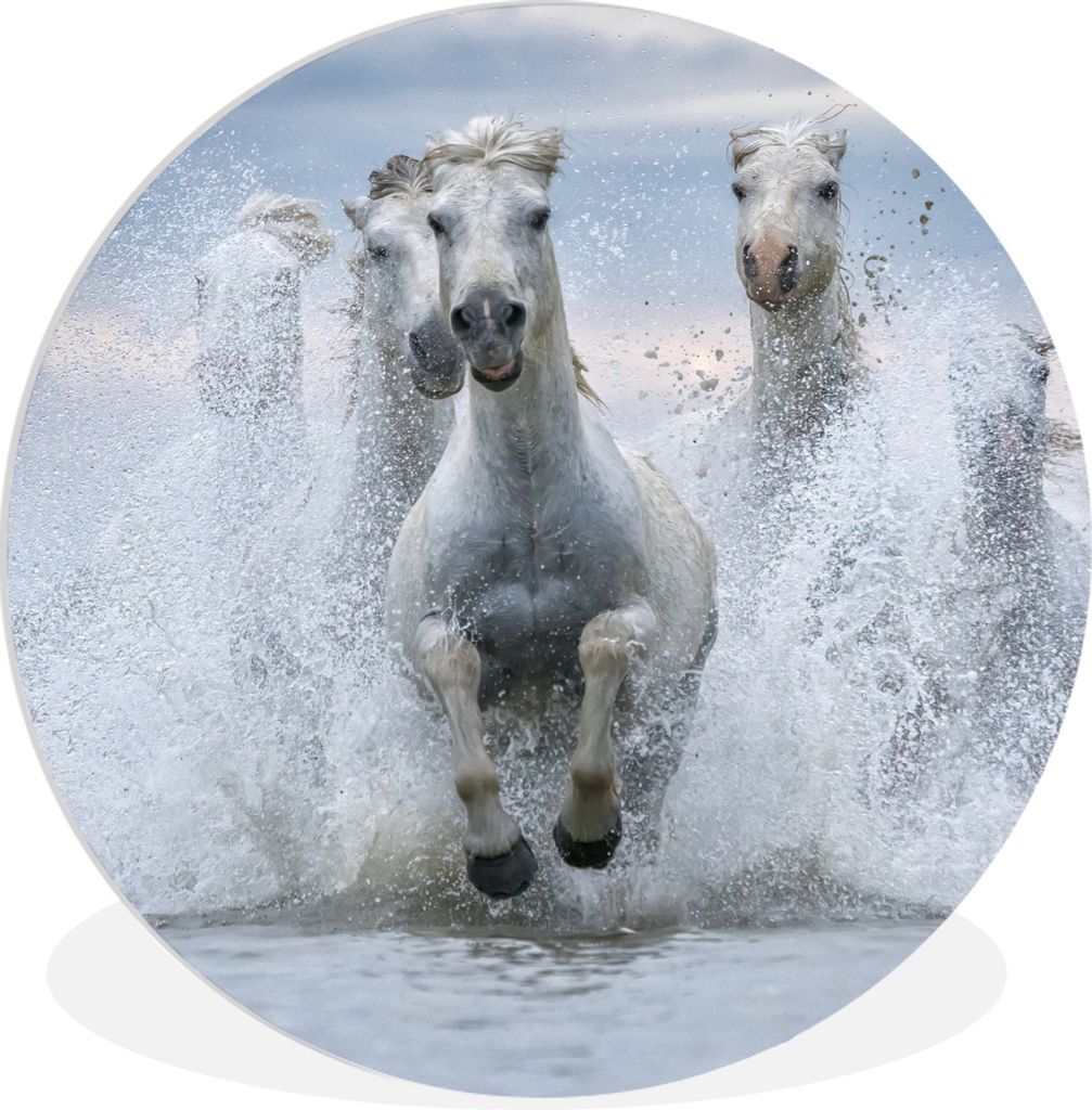 MuchoWow Rundes Wandbild - Runde Bilder Eine Herde weißer Pferde galoppiert durch das Wasser in der Camargue Ø 90 cm Kreis Wanddekoration Kunst...