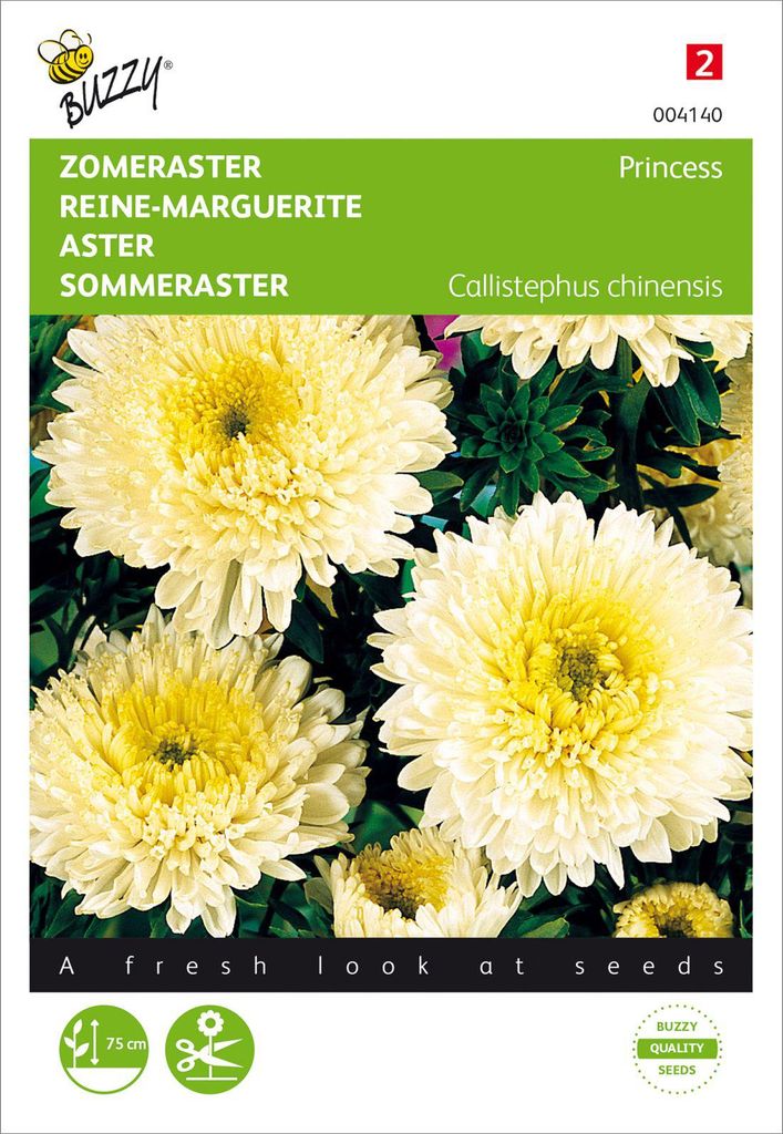 Sommeraster Prinzessin Gelb | Asternsamen von Buzzy Seeds Produktbild 