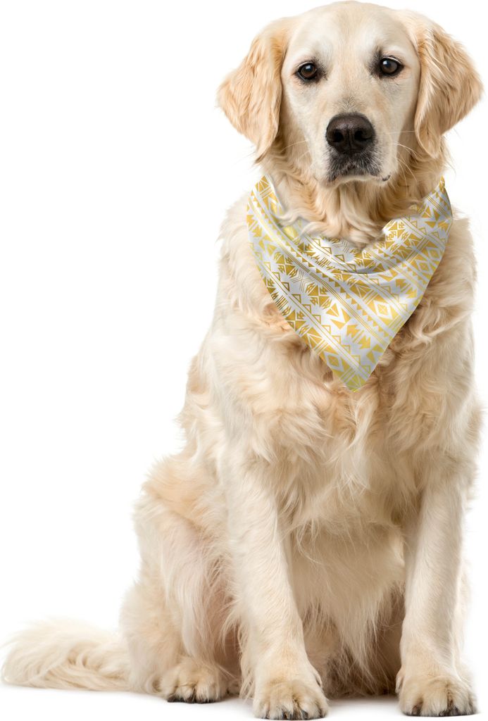 ABAKUHAUS Ethnisch Haustier Bandana, Primitive Ombre Borders, 40x40 cm, Gelb und Weiß