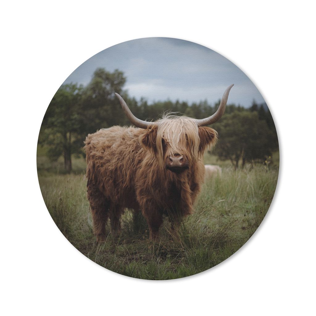 MuchoWow Mauspad Mousepad Schottischer Highlander - Tiere - Kuh 20x20 cm - Mousepads - Maus Mat - Pad - Mausunterlage - Schreibtischmatte