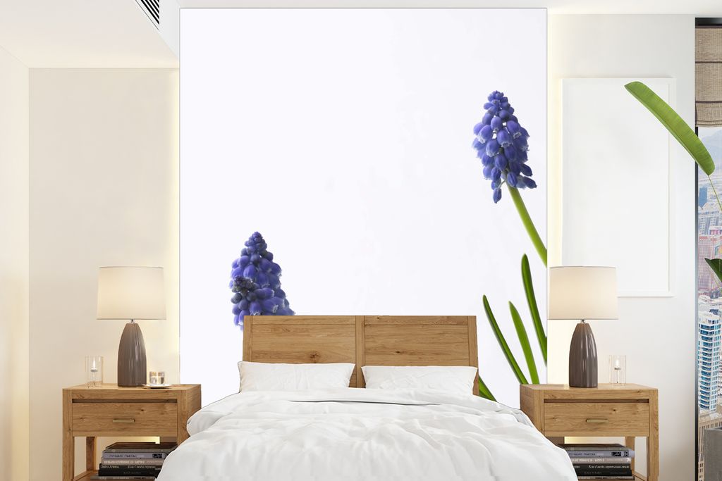MuchoWow Fototapete für Wohnzimmer oder Schlafzimmer Wandtapete Vinyl Motivtapete Traubenhyazinthen auf hellem Hintergrund - 175x240 cm - Schlaf...
