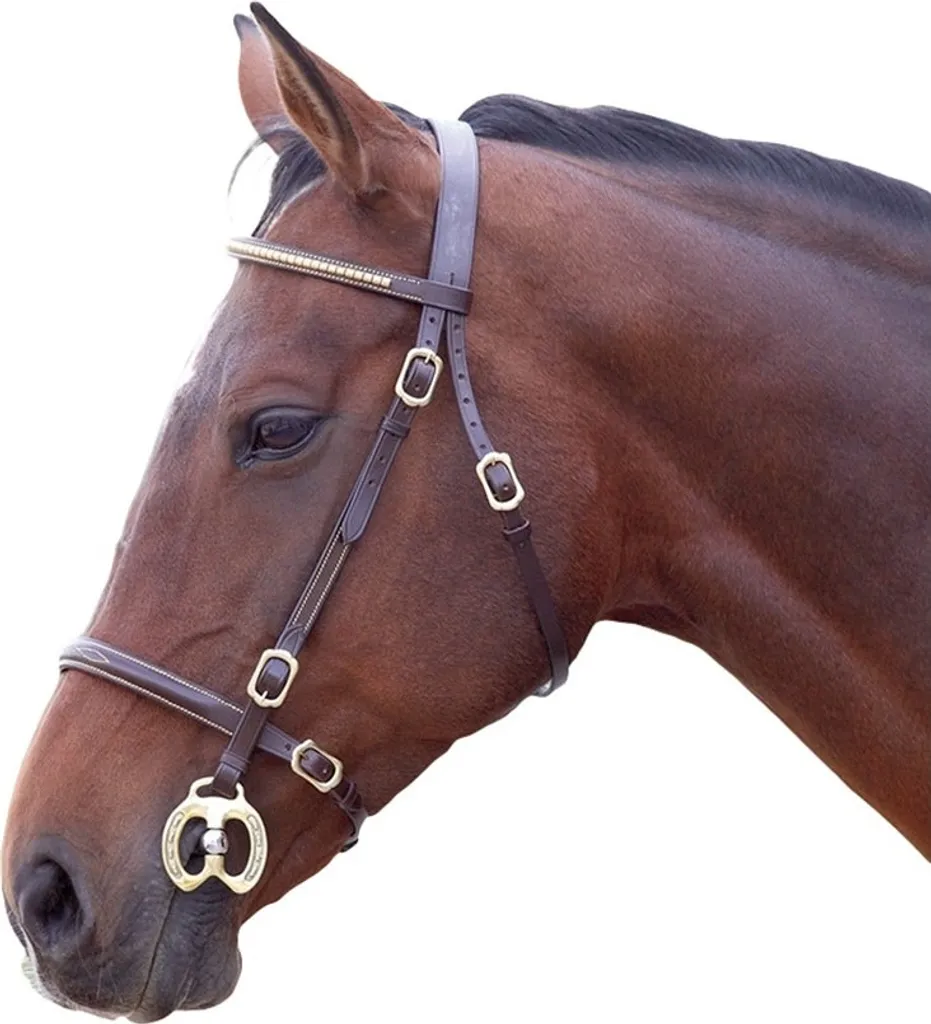 Bridon Blenheim Shetland marron ER582 idéal pour l'initiation club