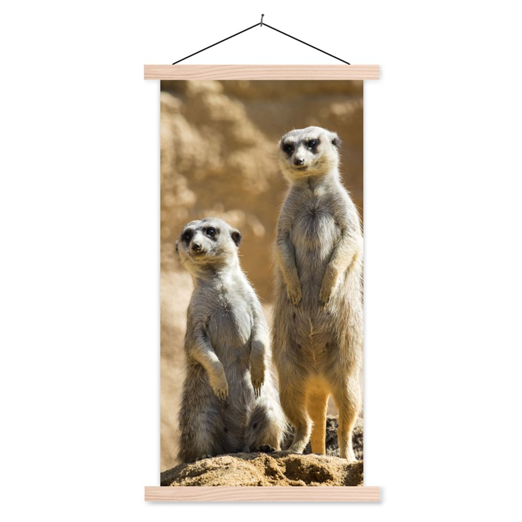 MuchoWow Textilposter Felsen - Erdmännchen - Tiere 60x120 cm mit holzfarbenen Rahmen - Holz