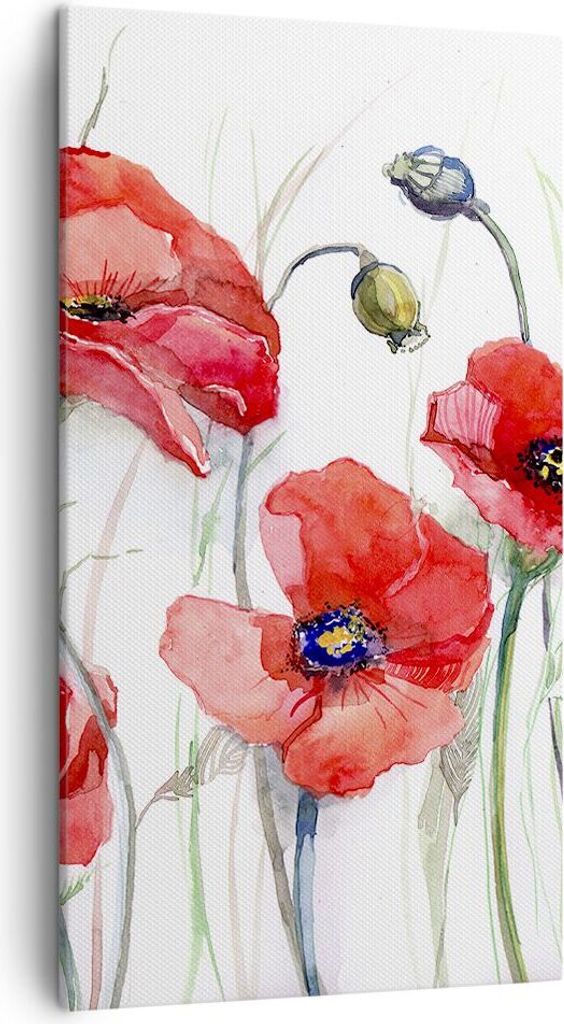 Bild auf Leinwand - Leinwandbild - Blume Mohn Wiese - 45x80cm - Wand Bild - Wanddeko - Wandbilder - Leinwanddruck - Bilder - Kunstdruck - Wanddekor...