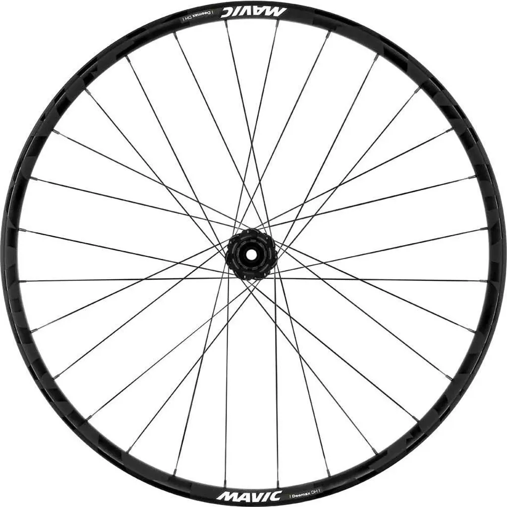 Roue de vélo VTT Descente Mavic Deemax DH 29 pouces arrière argentée