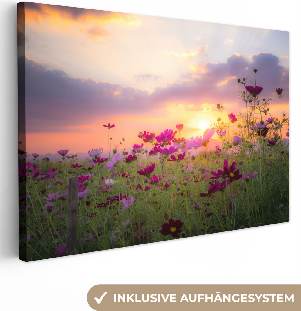 OneMillionCanvasses - Leinwandbilder - 150x100 cm, Sonnenuntergang - Blumen - Rosa - Natur - Grün, Wandbilder Kunstdruck Wanddekoration