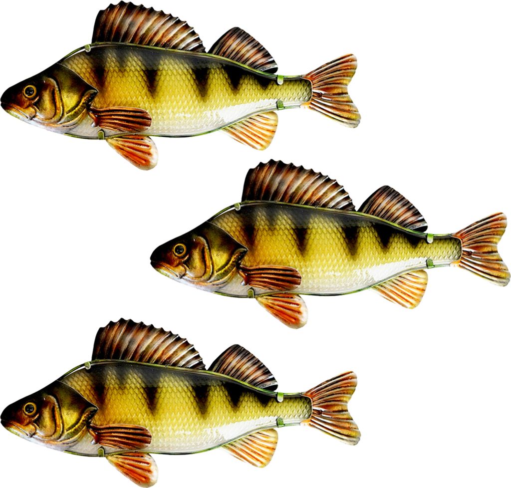 Eurocatch Big Game-Wanddekor-Set – Thunfisch, Dorado, Segelfisch, Marlin – 4 Stück – Wanddekoration – 40 cm – 3D-Metall und Glas – Kun...