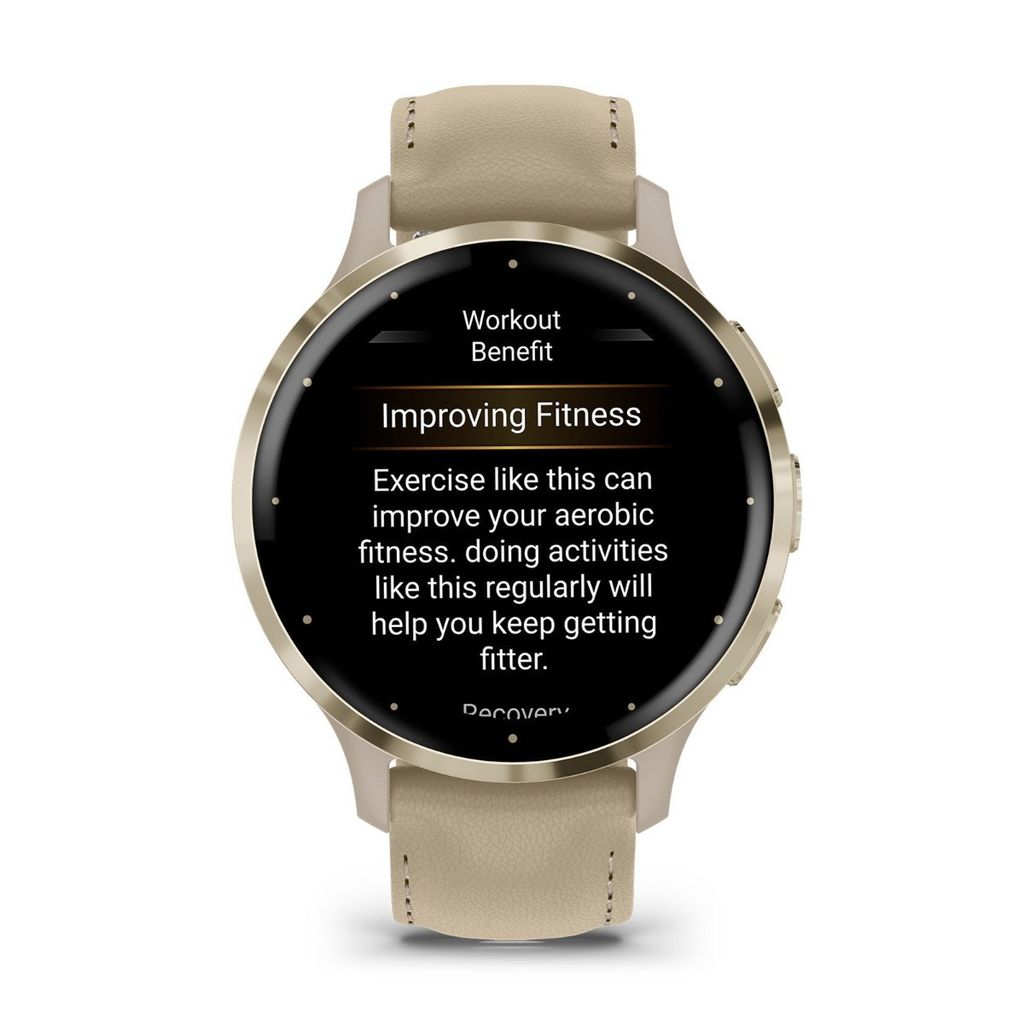 Garmin Venu 3S 41mm, french gray/softgold