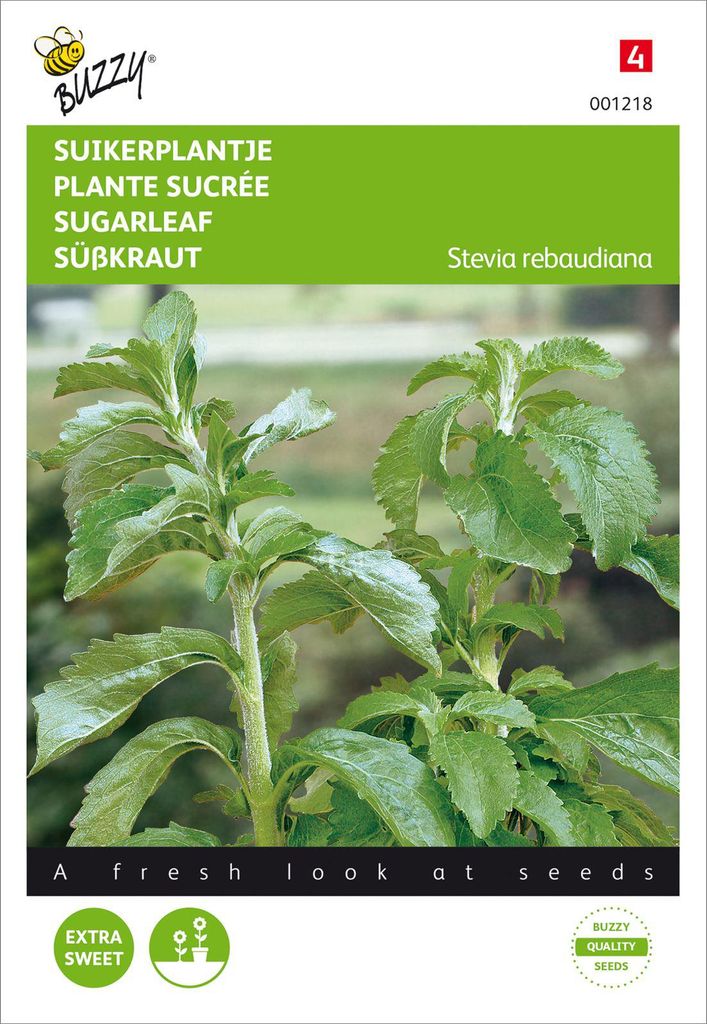 Stevia Honigblatt | Steviasamen von Buzzy Seeds