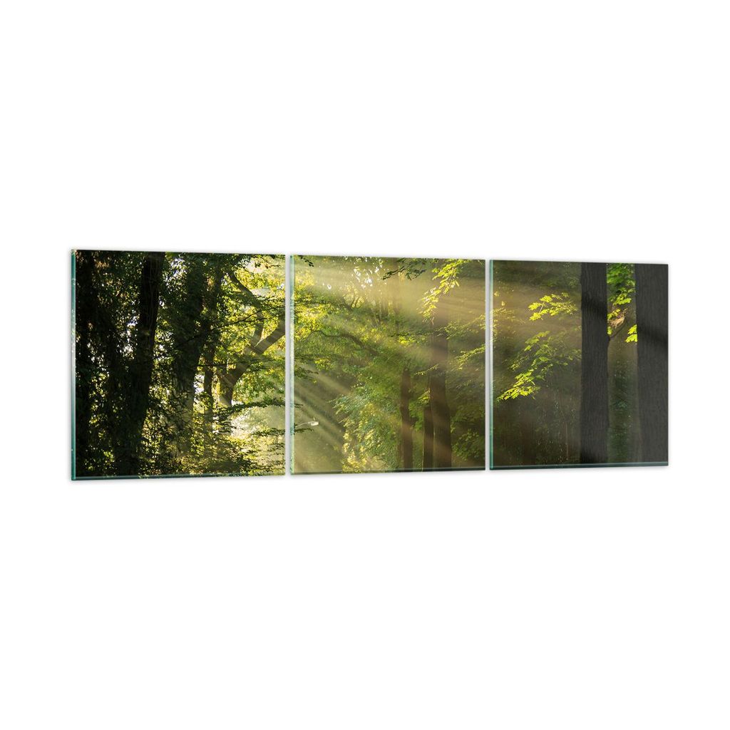 Bilder auf glas - Wald Baum Natur - 150x50cm - Glasbilder - Wandbilder - Kunstdruck - zum Aufhängen bereit - Wanddekoration aus Glas - Glas Bilder...