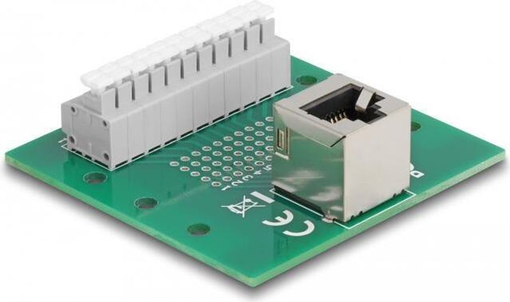 DELOCK RJ50 Buchse zu Terminalblockmit Drucktaster