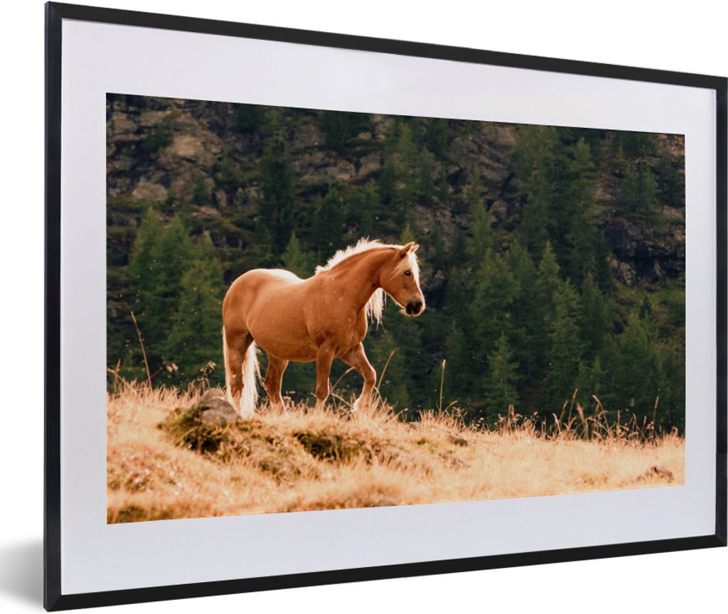 MuchoWow Gerahmtes Poster Haflinger Pferd im gelben Gras 60x40 cm - Poster mit Schwarzem Bilderrahmen Wandposter Rahmen Foto Bilder - Schlafzimme...