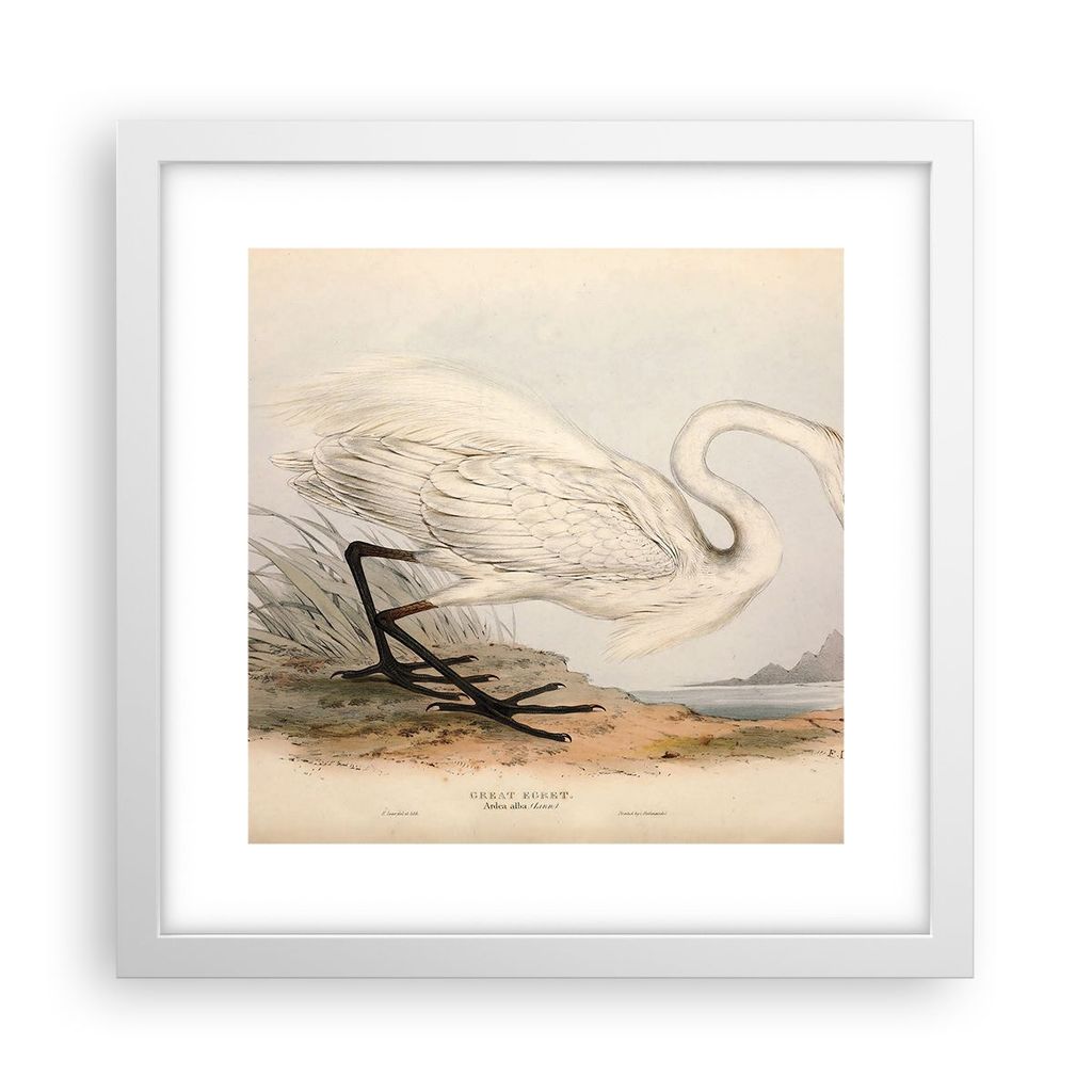 Gerahmtes Poster - Weißer Rahmen - Vogel Weiß Reiher - 30x30 cm - Wand Bild - Wanddeko - Wandbilder - Kunstposter - Wandposter - Bilderrahmen - B...