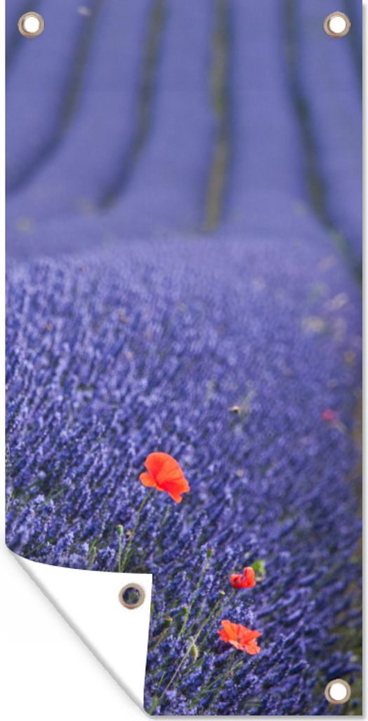 MuchoWow 80x160 cm Outdoor-Poster Gartendeko Sichtschutz Garten Poster für den Garten Lavendel - Mohn - Blumenwiese