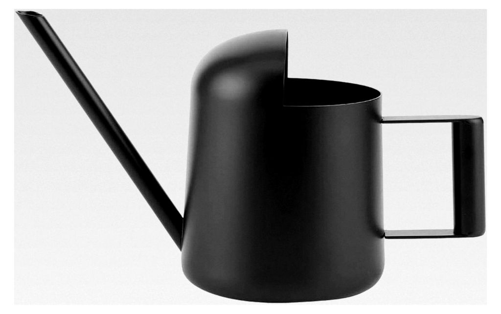 300 ml schwarze Edelstahl Mini-Gießkanne für Innen- und Außenpflanzen mit langem Auslauf