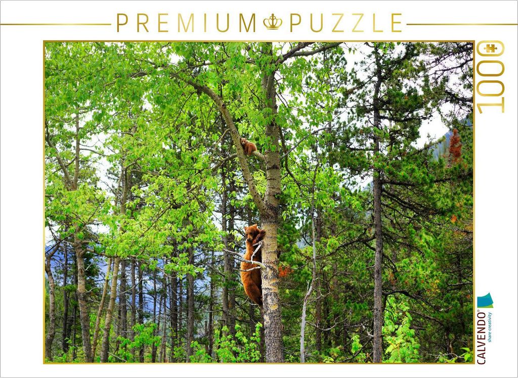 CALVENDO Puzzle Bei Gefahr schickt ein "Cinnamon Bear" sein junges auf den Baum. Waterton Lakes National Park. | 1000 Teile Lege-Größe 64x48cm Fo...