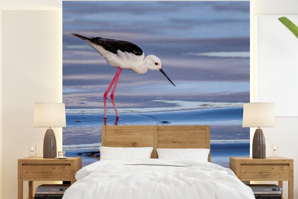MuchoWow Fototapete für Wohnzimmer oder Schlafzimmer Wandtapete Vinyl Motivtapete Haubentaucher sucht nach Fischen im Wasser - 220x240 cm - Wohn...