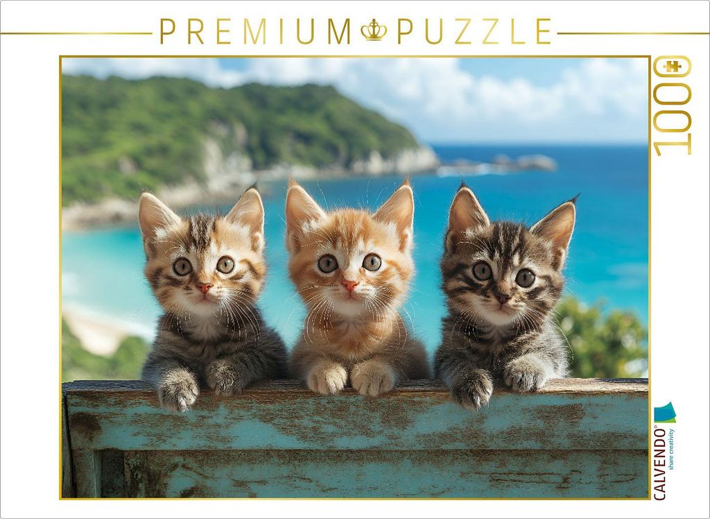 CALVENDO Puzzle Eine kleine süße Kätzchenbande | 1000 Teile Lege-Größe 64x48cm Foto-Puzzle für glückliche Stunden