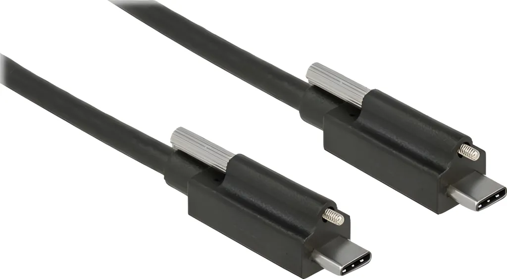 Câble USB-C 10Gbps SuperSpeed Delock 1m Verrouillage par Vis de Sécurité