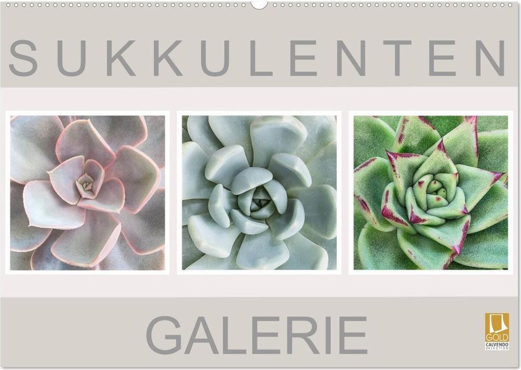 Sukkulenten Galerie (Wandkalender 2026 DIN A2 quer), CALVENDO Monatskalender