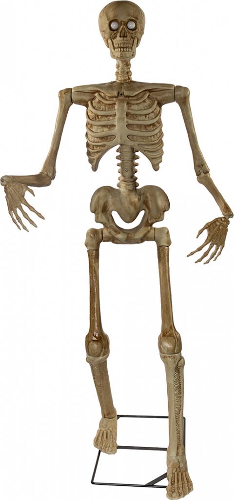 Sprechendes Skelett Animatronic für Halloween 150cm