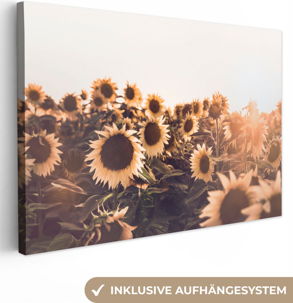 OneMillionCanvasses - Leinwandbilder - 150x100 cm, Sonnenblumen - Feld - Sonnenuntergang - Blumen - Gelb, Wandbilder Kunstdruck Wanddekoration - ...