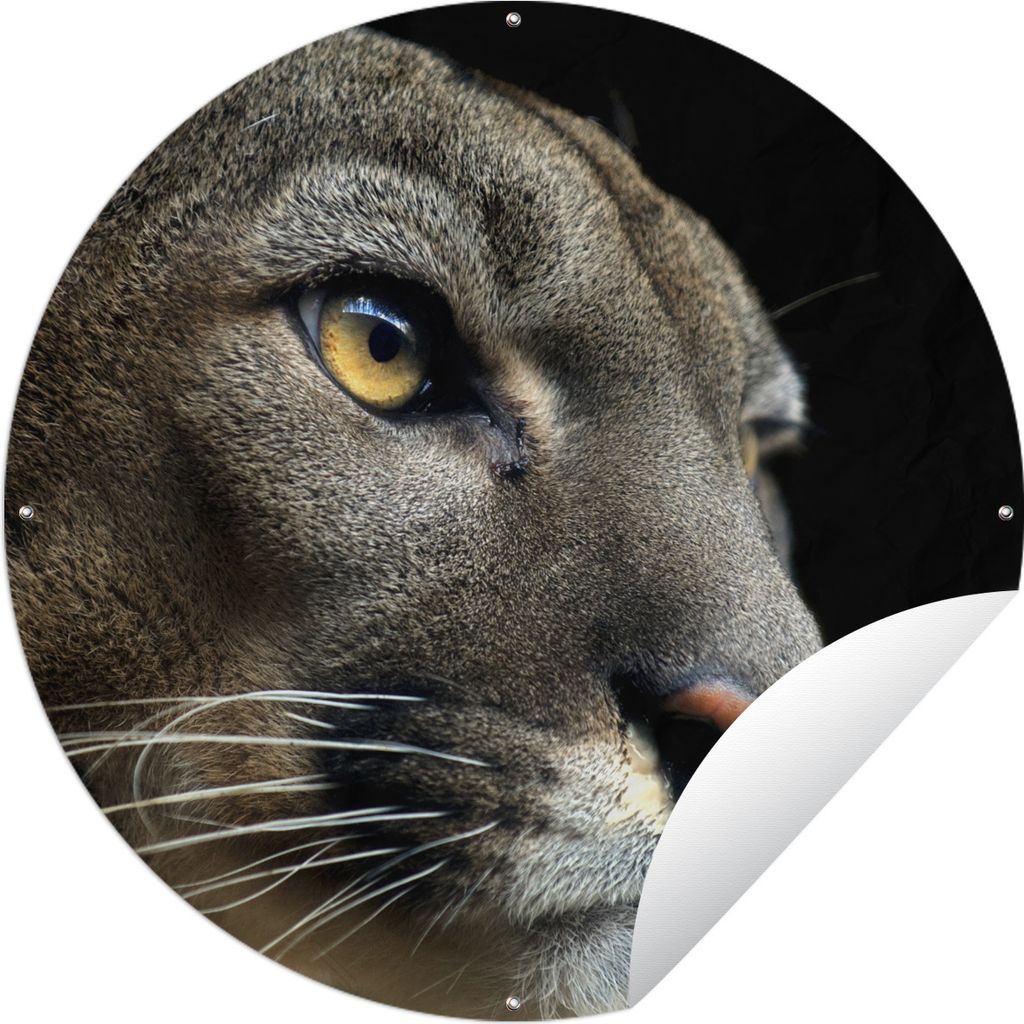 MuchoWow Gartenposter Outdoor-Poster Rund Cougar - Augen - Schwarz Ø 150 cm Gartendeko Rundes Poster draußen