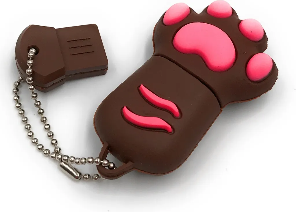 Clé USB 3.0 128 Go pour Sauvegarde et Transfert de Photos Patte Ours