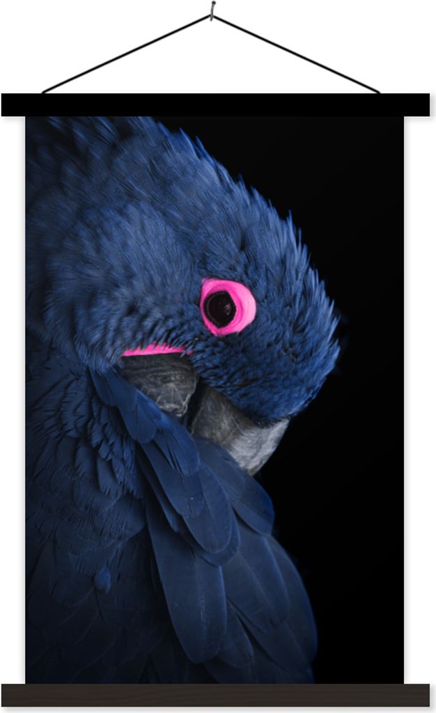 MuchoWow® Textilposter Papagei - Vogel - Blau 60x90 cm mit Produktbild 