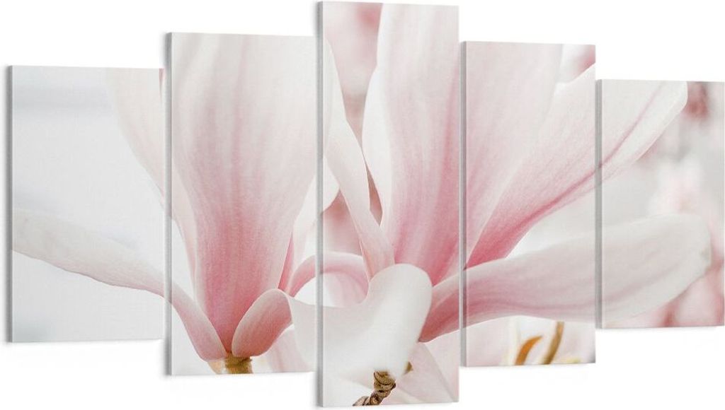 Bild auf Leinwand - Leinwandbild - 5 Teile - Zweig Magnolie Produktbild 