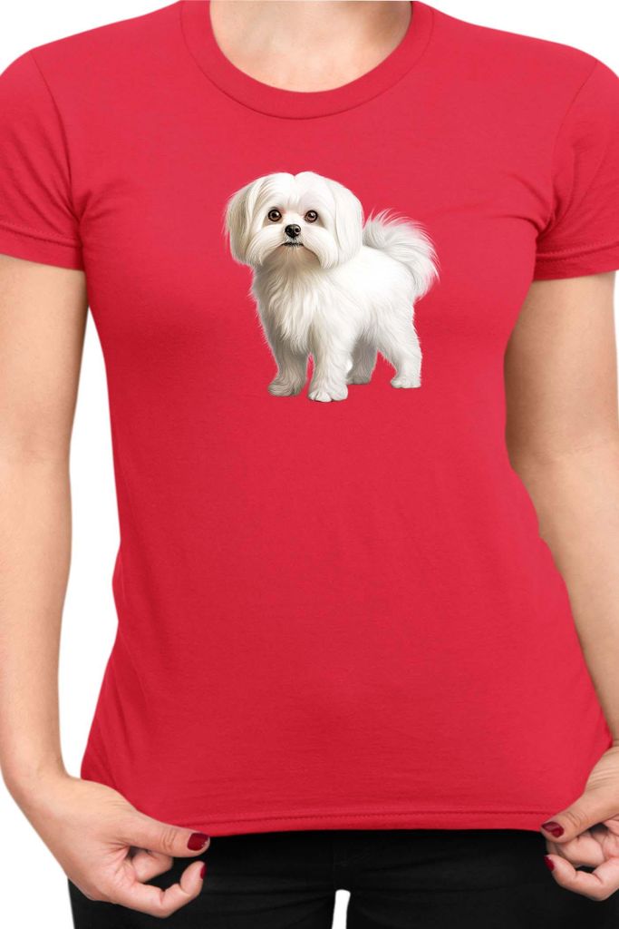 Damen T-Shirt Dogs Breeds Maltese Dog Breed 005, Lady XS / Rot
