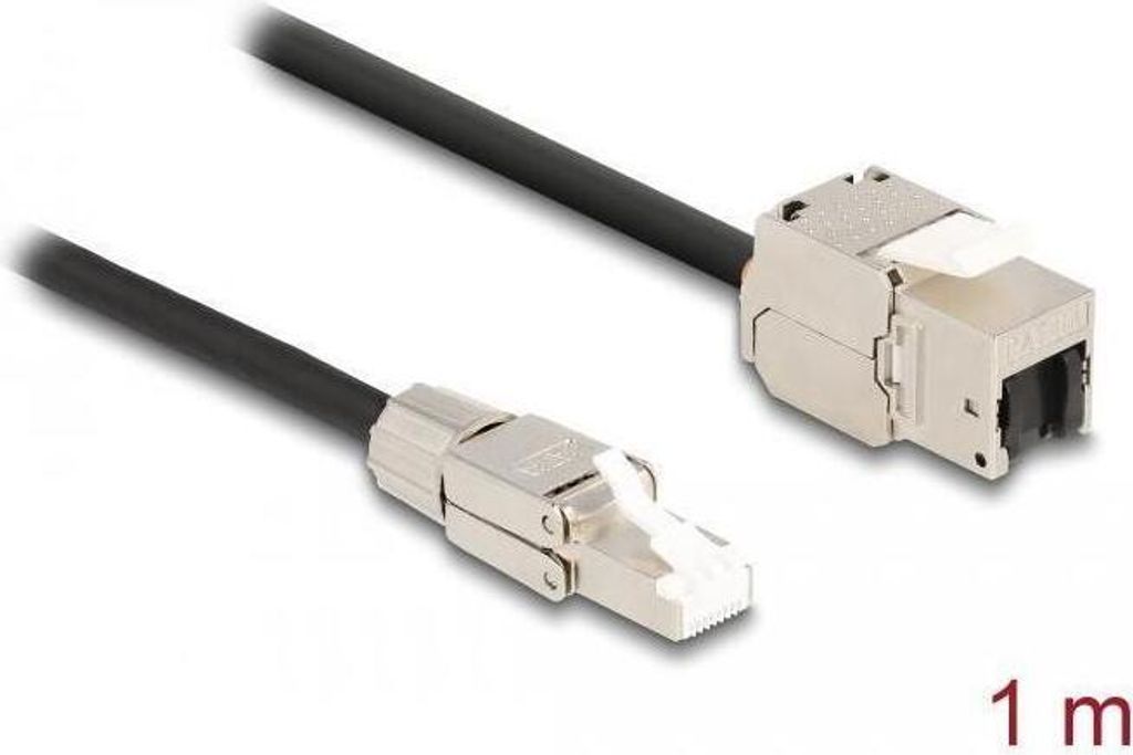 DELOCK Kabel RJ45 Keystone RJ45 Cat.6A