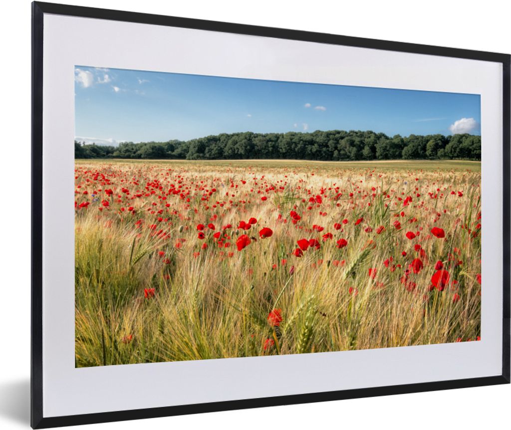 MuchoWow® Gerahmtes Poster Wilde Mohnblumen auf einem Produktbild 