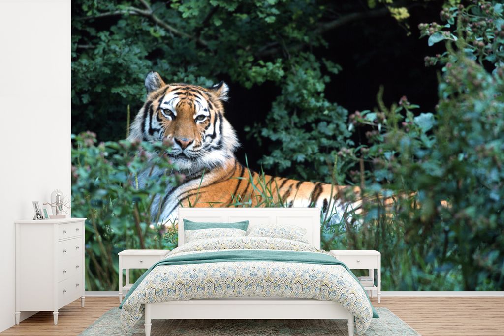 MuchoWow Fototapete für Wohnzimmer oder Schlafzimmer Wandtapete Vinyl Motivtapete Tiger - Gras - Grün - 390x260 cm - Papiertapete