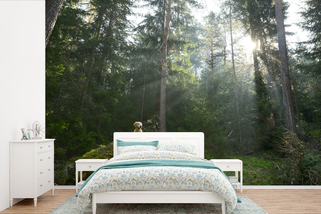 MuchoWow Fototapete für Wohnzimmer oder Schlafzimmer Wandtapete Vinyl Motivtapete Hund - Wald - Fels - 390x260 cm - Papiertapete