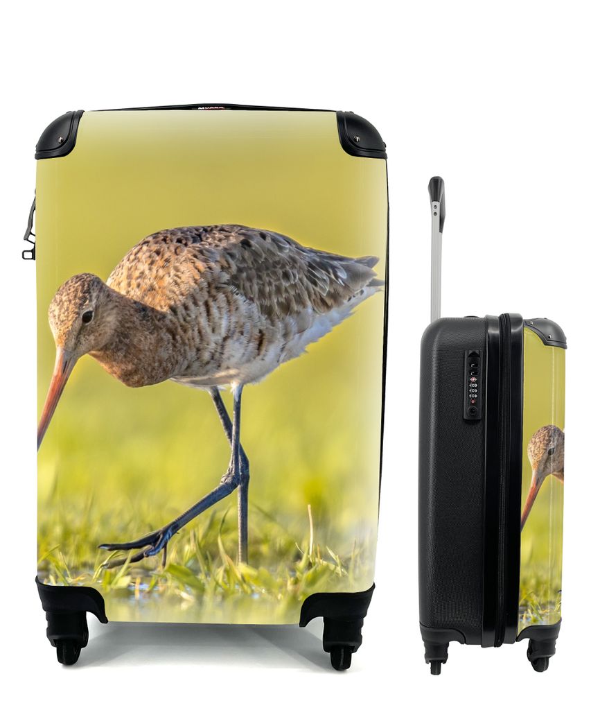 MuchoWow Koffer Handgepäck Trolley Rollkoffer Kleine Reisekoffer mit 4 Rollen - Vögel - Gras - Landschaft - Uferschnepfe - Cabin Size < 55x40x2...